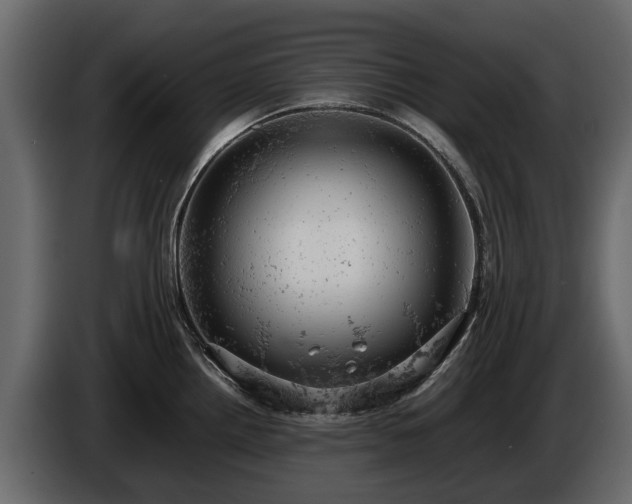 X0000085741242200703231103
