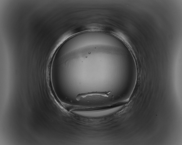 X0000085741243200703231103
