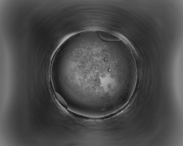 X0000085741244200703231103