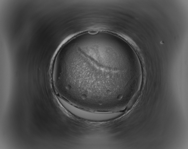 X0000085741248200703231103