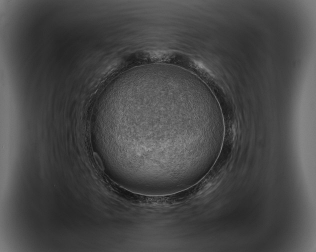 X0000085741249200703231102