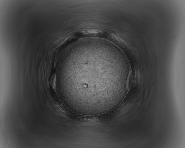 X0000085741250200703231102