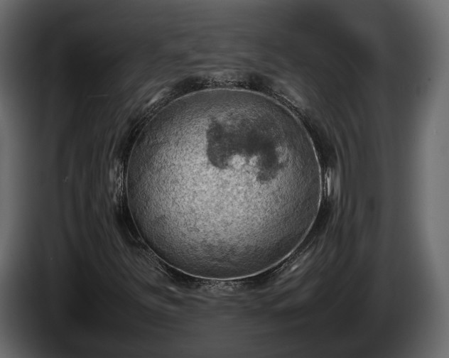 X0000085741251200703231102