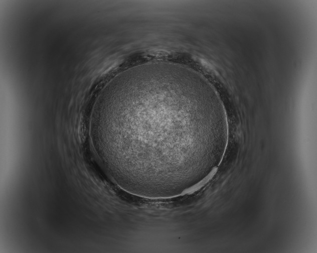 X0000085741253200703231102