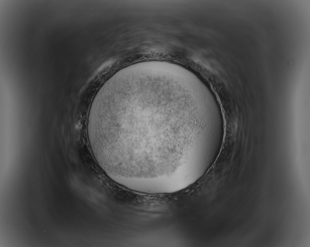 X0000085741254200703231102