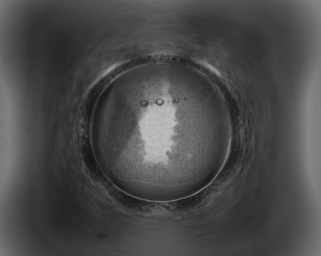 X0000085741255200703231102