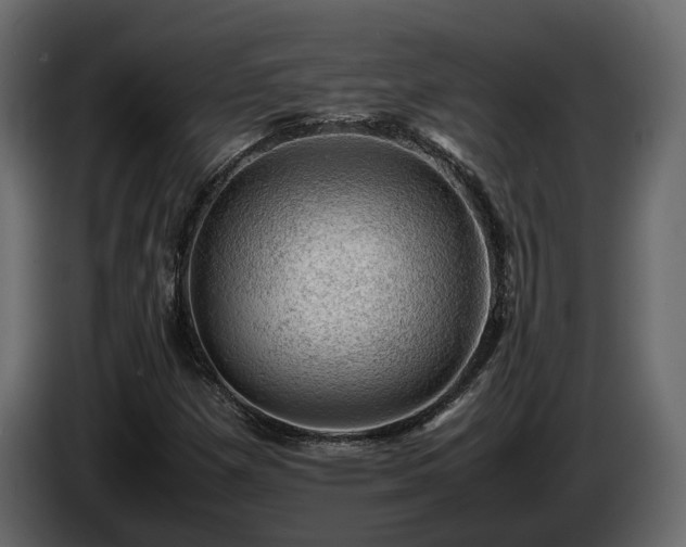 X0000085741257200703231102