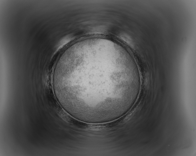 X0000085741258200703231102