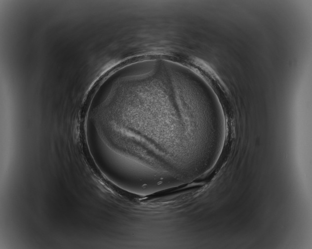 X0000085741260200703231102