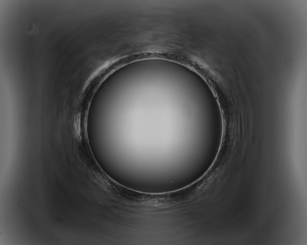 X0000085741262200703231102