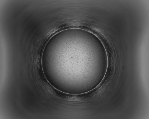 X0000085741265200703231102