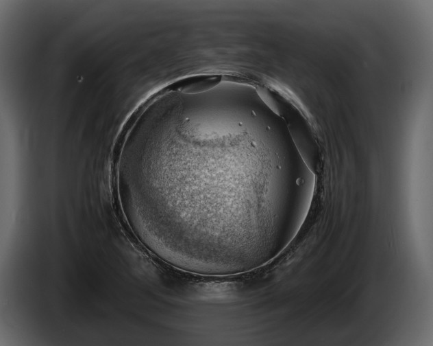 X0000085741268200703231102
