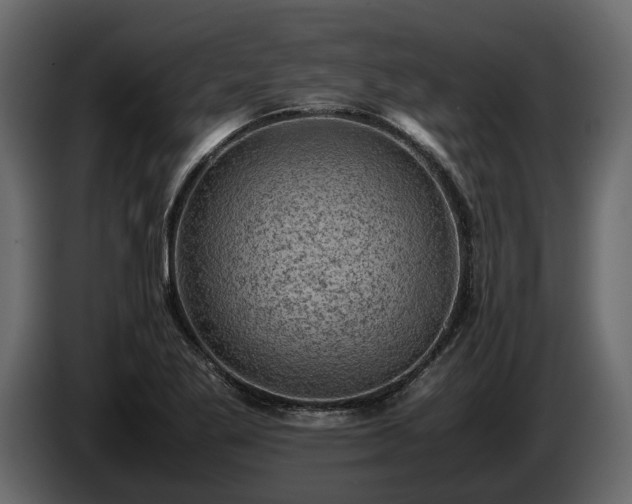 X0000085741269200703231102