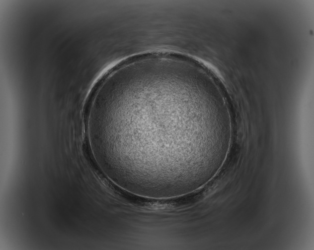 X0000085741271200703231102