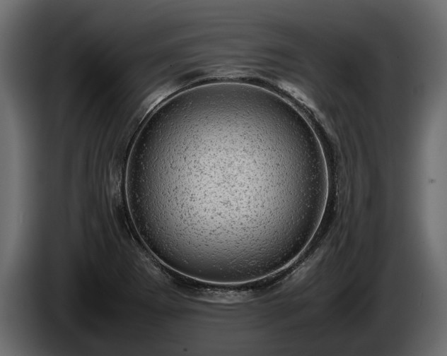 X0000085741273200703231102