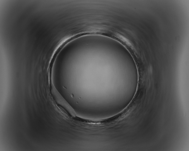 X0000085741275200703231102