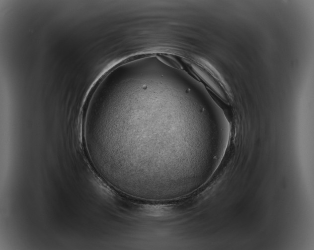 X0000085741276200703231102