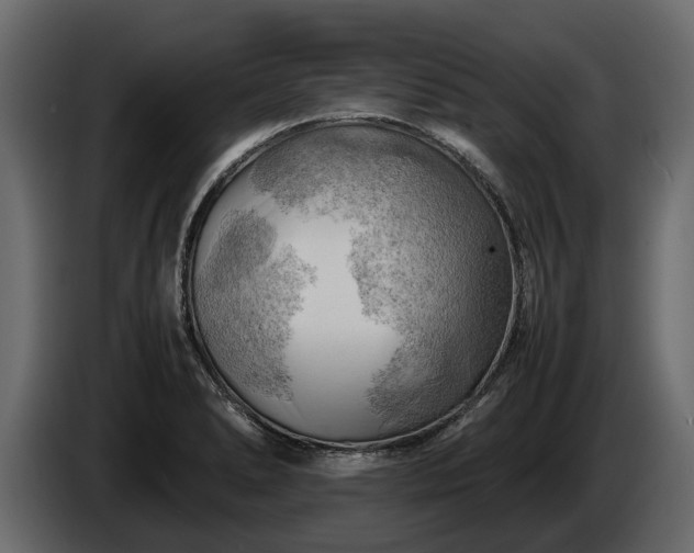 X0000085741278200703231102