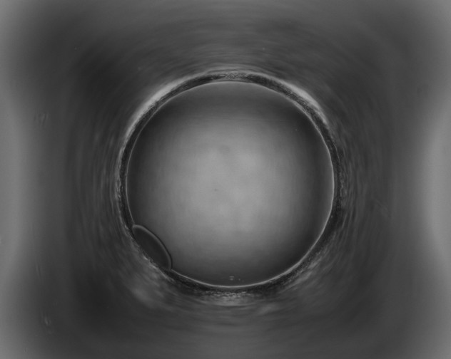 X0000085741279200703231102