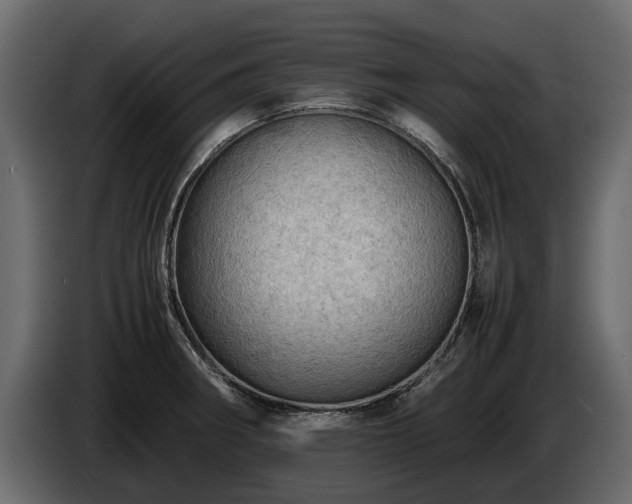 X0000085741282200703231102