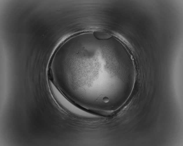X0000085741283200703231102