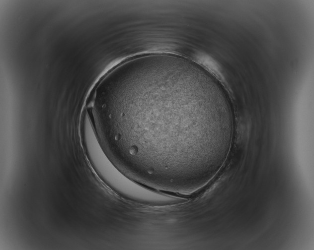 X0000085741284200703231102