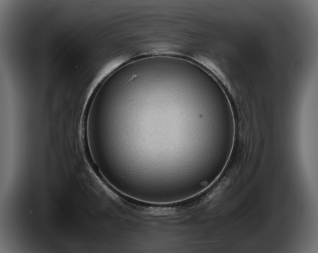 X0000085741285200703231102