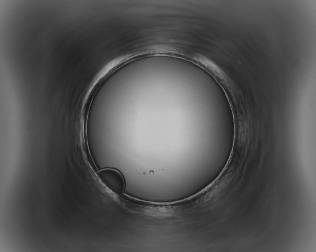 X0000085741286200703231102