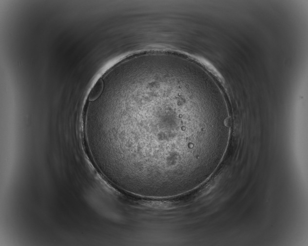 X0000085741287200703231102