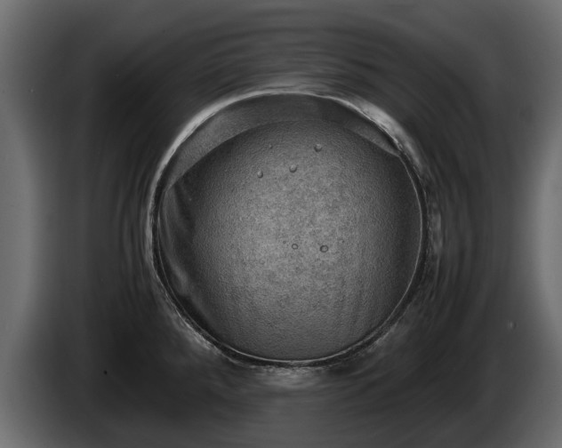 X0000085741288200703231102
