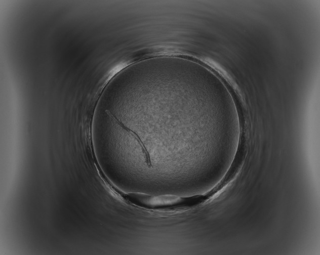 X0000085741289200703231102