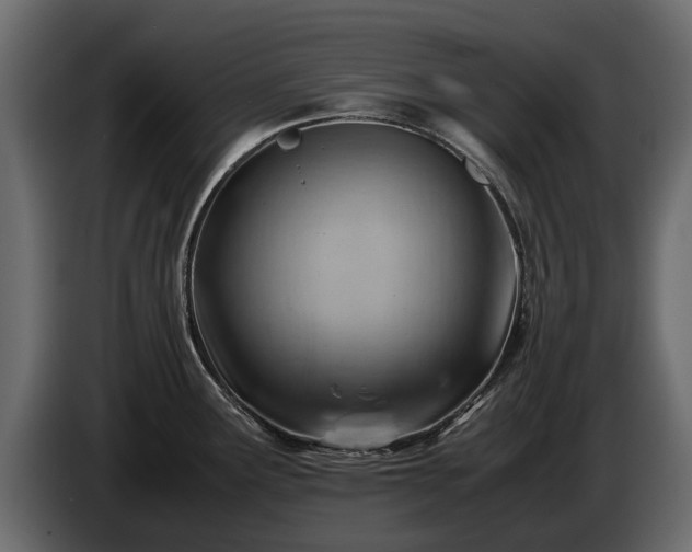 X0000085741291200703231102