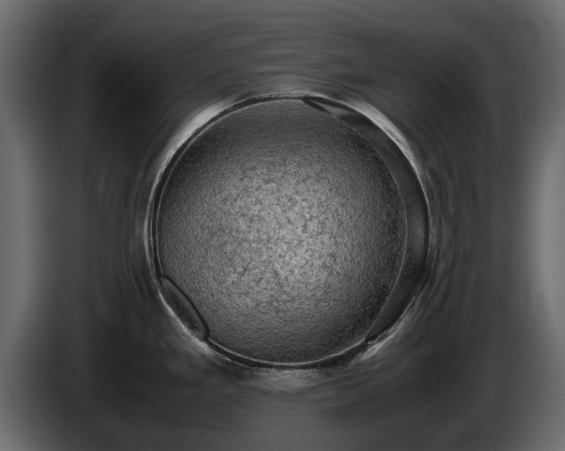X0000085741293200703231102