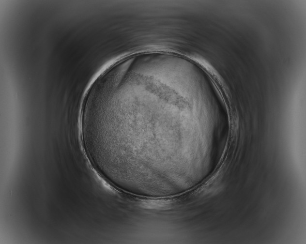 X0000085741294200703231102