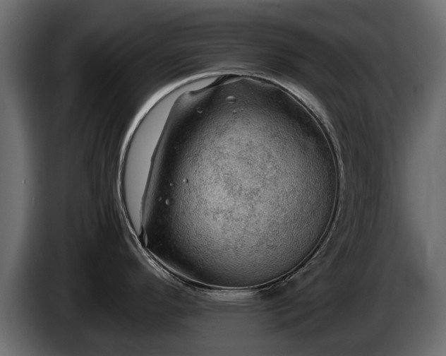 X0000085741296200703231102