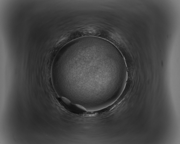 X0000085741297200703231101