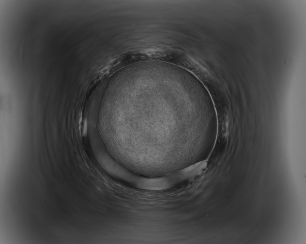 X0000085741298200703231101