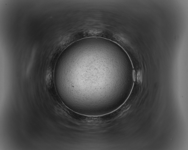 X0000085741299200703231101