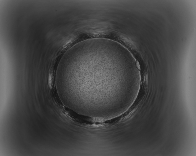 X0000085741300200703231101