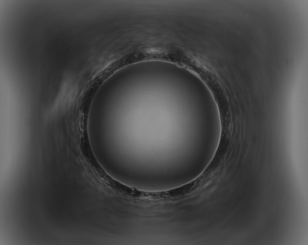 X0000085741301200703231101