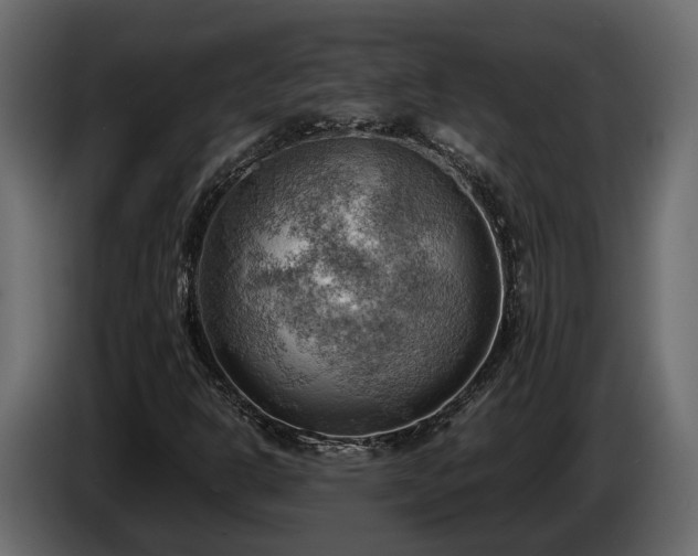 X0000085741302200703231101