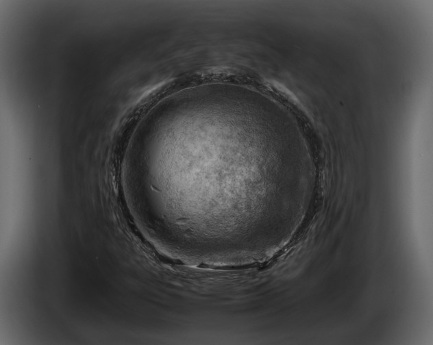 X0000085741303200703231101