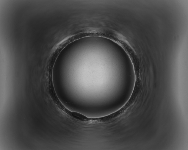 X0000085741304200703231101