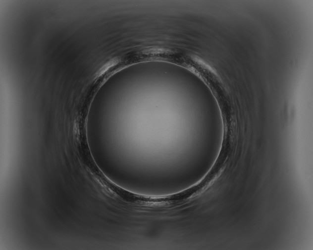 X0000085741305200703231101