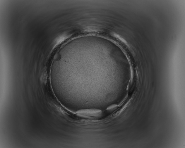 X0000085741306200703231101