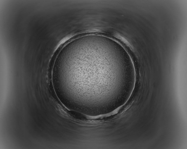 X0000085741308200703231101