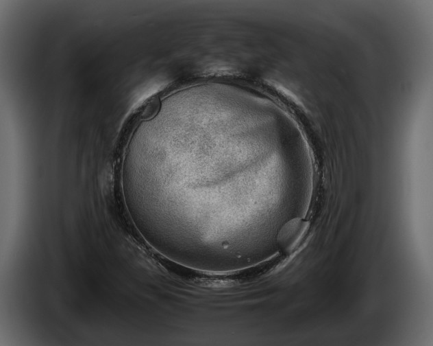 X0000085741309200703231101