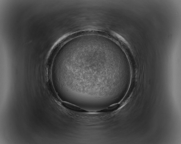 X0000085741310200703231101