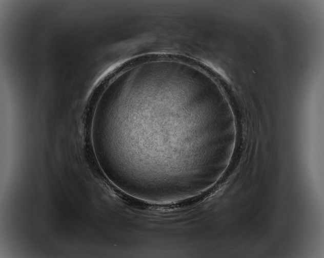 X0000085741311200703231101