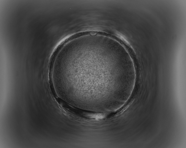 X0000085741312200703231101